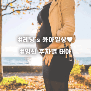 임신 주차별 태아 발달 변화 (1주~12주) – 엄마 뱃속에서 자라는 아기의 놀라운 여정